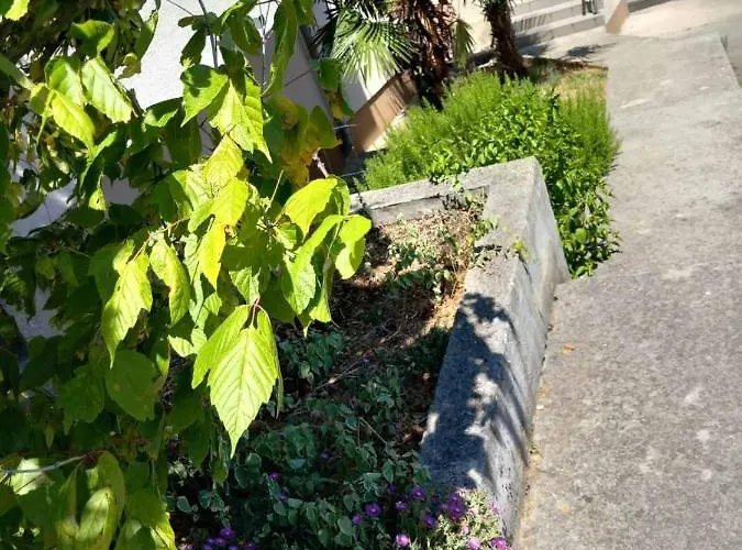 Appartamento 4 - Private Parking And Sea View